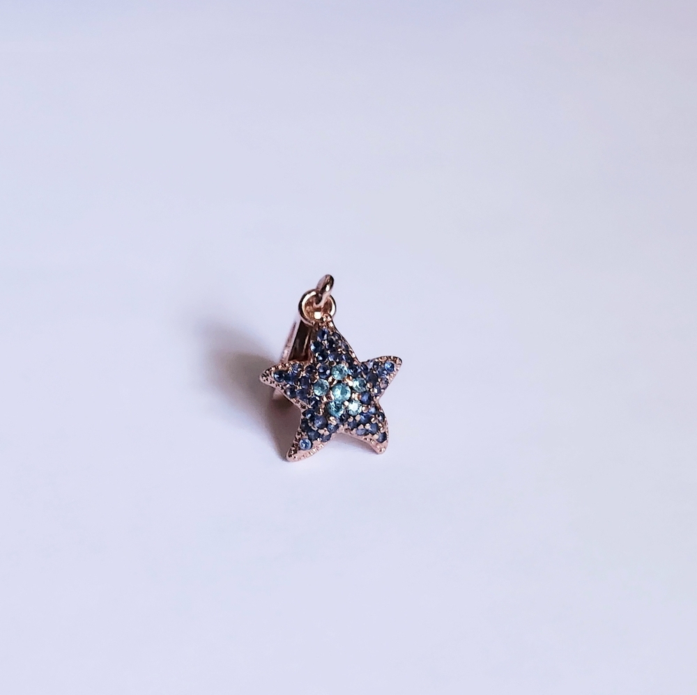 STARFISH CHARM - Picture 2 of 6